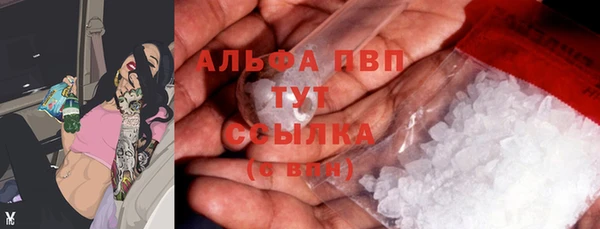 ешки Гусев