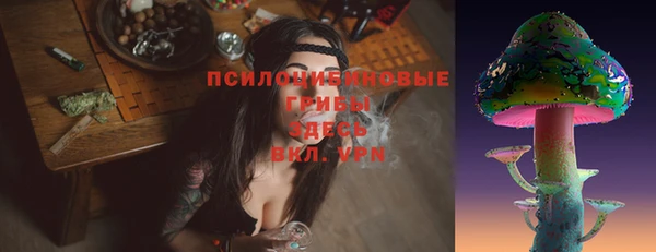 ешки Гусев