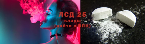 ешки Гусев