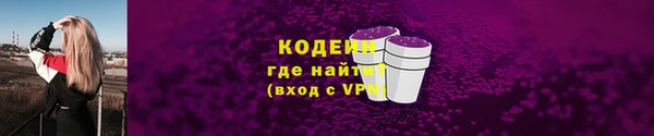 ешки Гусев