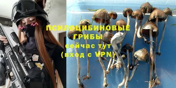 PSILOCYBIN Гусь-Хрустальный