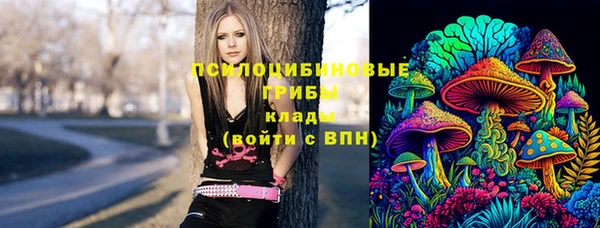 ешки Гусев