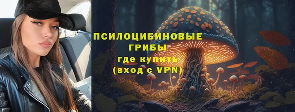 мдма Гусиноозёрск
