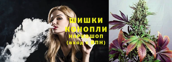 PSILOCYBIN Гусь-Хрустальный