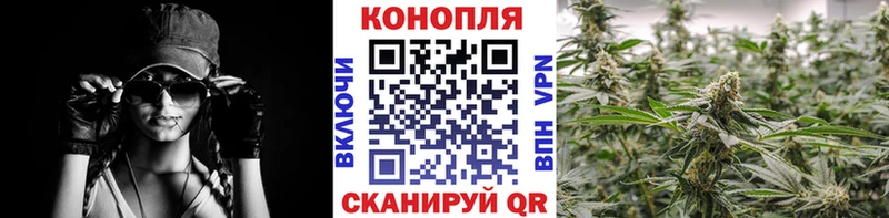 как найти   Кириллов  Бошки Шишки марихуана 